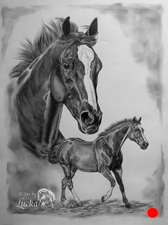 10651 Baby Horse Sketch Images Stock Photos  Vectors  Shutterstock